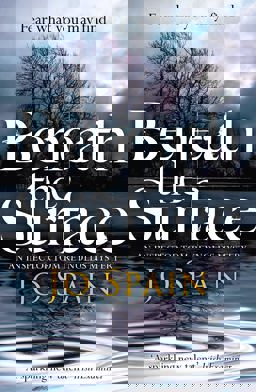 Beneath the Surface  9781784293192 Front Cover