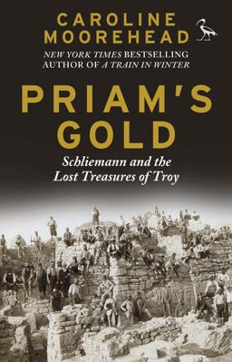 Priam's Gold Schliemann and the Lost Treasures of Troy  9781784534875 Front Cover