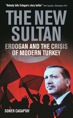 New Sultan Erdogan and the Crisis of Modern Turkey  9781784538262 Front Cover