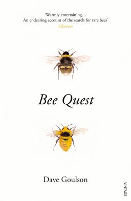 Bee Quest  9781784704803 Front Cover