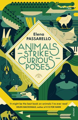 Animals Strike Curious Poses  9781784707354 Front Cover