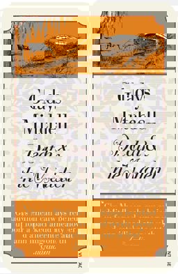 Death and the Maiden  9781784708658 Front Cover