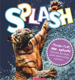 Splash