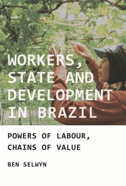 Workers, State and Development in Brazil Powers of Labour, Chains of Value  9781784991142 Front Cover
