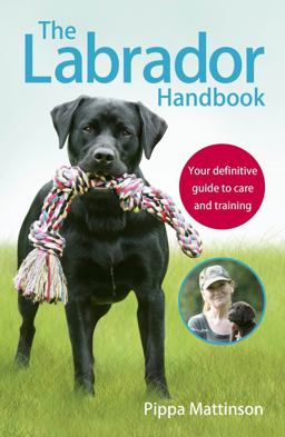 Labrador Handbook The Definitive Guide to Training and Caring for Your Labrador  9781785030918 Front Cover