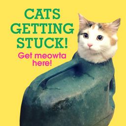Cats Getting Stuck!  9781785036309 Front Cover