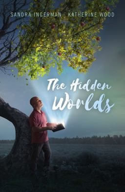 Hidden Worlds  9781785358203 Front Cover