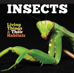 Insects  9781786371263 Front Cover
