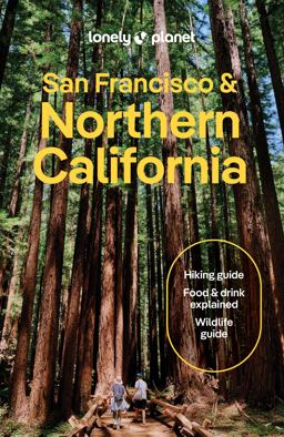 Lonely Planet San Francisco and Northern California