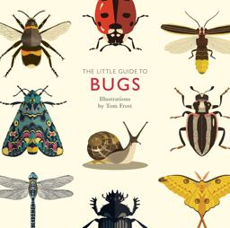 Little Guide to Bugs  9781787131637 Front Cover