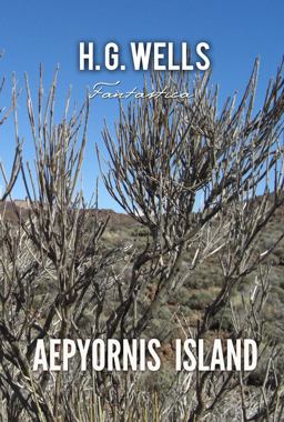 Aepyornis Island