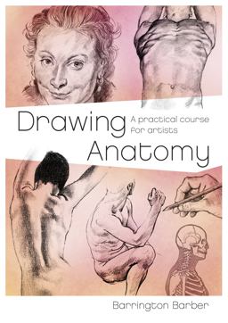 Drawing Anatomy Drawing Anatomy