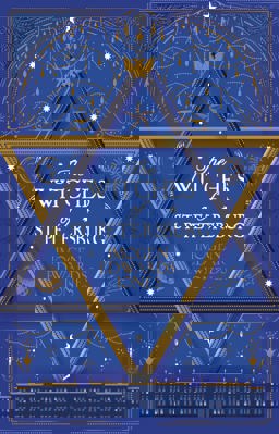 Witches of St. Petersburg  9781788544023 Front Cover