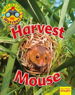 Harvest Mouse Harvest Mouse