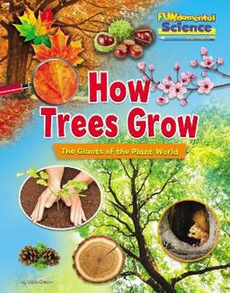 How Trees Grow How Trees Grow