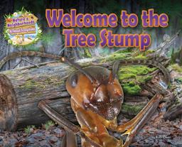 Welcome to the Tree Stump Welcome to the Tree Stump