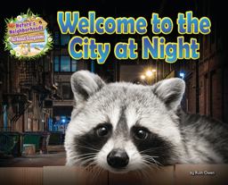 Welcome to the City at Night Welcome to the City at Night