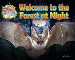 Welcome to the Forest at Night Welcome to the Forest at Night