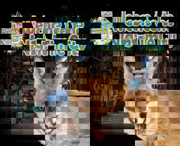 Welcome to the Night-Time City Welcome to the Night-Time City