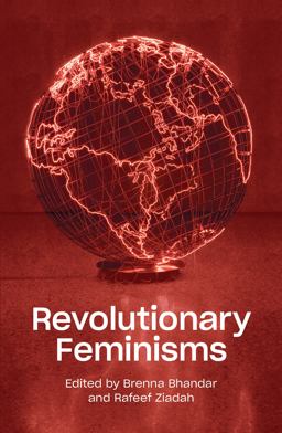 Revolutionary Feminisms Conversations on Collective Action and Radical Thought  9781788737760 Front Cover