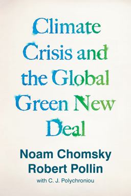 The Climate Crisis and the Global Green New Deal: The Political Economy of Saving the Planet  9781788739856 Front Cover