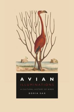 Avian Illuminations A Cultural History of Birds  9781789144321 Front Cover