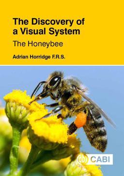 The Discovery of a Visual System - the Honeybee The Discovery of a Visual System - the Honeybee
