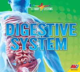 Digestive System Digestive System