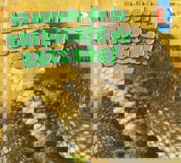 El Mundo de la Serpiente de Cascabel (a Rattlesnake's World)