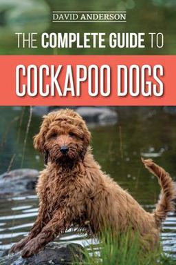 The Complete Guide to Cockapoo Dogs