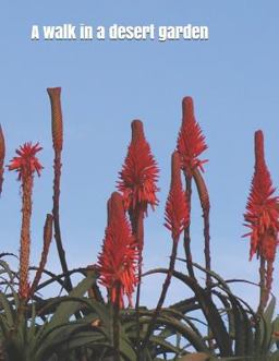 A Walk in a Desert Garden