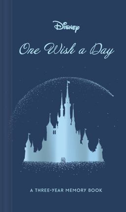 Disney One Wish a Day