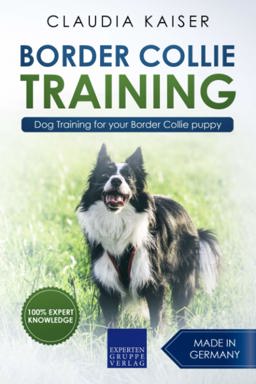 Border Collie Training