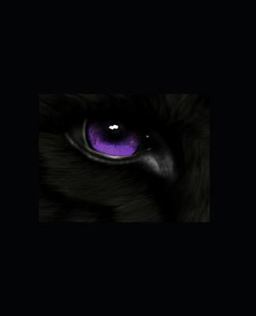 WOLF: Limbo Book 4 of the WOLF Series 1st 9781798884621 Front Cover