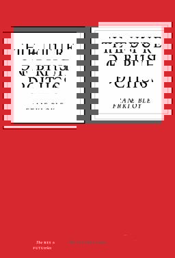 The Future of British Politics  9781800180109 Front Cover