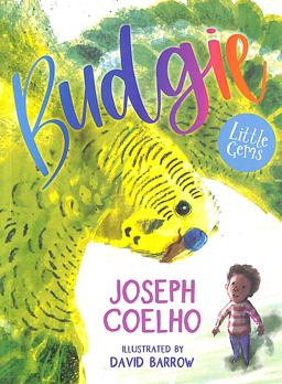 Budgie