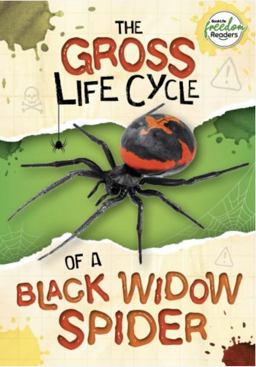 The Gross Life Cycle of a Black Widow Sp The Gross Life Cycle of a Black Widow Sp
