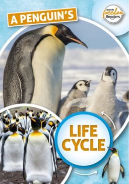 A Penguin's Life Cycle A Penguin's Life Cycle