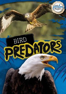 Bird Predators Bird Predators