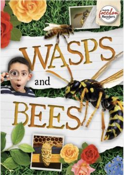 Wasps and Bees Wasps and Bees