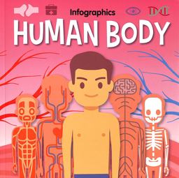 Human Body