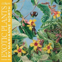 Kew Gardens: Marianne North Wall Calendar 2023 (Art Calendar) Kew Gardens: Marianne North Wall Calendar 2023 (Art Calendar)