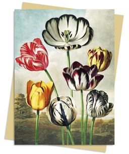 Temple of Flora: Tulips Greeting Card Pack Temple of Flora: Tulips Greeting Card Pack