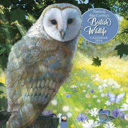 Patricia MacCarthy's British Wildlife Wall Calendar 2024 (Art Calendar) Patricia MacCarthy's British Wildlife Wall Calendar 2024 (Art Calendar)