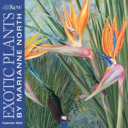 Kew Gardens: Marianne North Wall Calendar 2024 (Art Calendar) Kew Gardens: Marianne North Wall Calendar 2024 (Art Calendar)