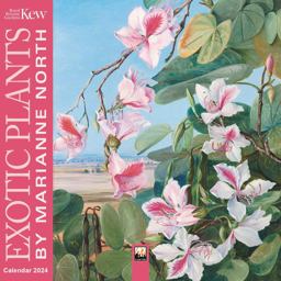 Kew Gardens: Exotic Plants by Marianne North Mini Wall Calendar 2024 (Art Calendar) Kew Gardens: Exotic Plants by Marianne North Mini Wall Calendar 2024 (Art Calendar)