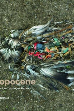 Surveying the Anthropocene