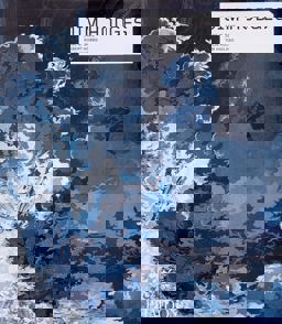 Jim Hodges Jim Hodges