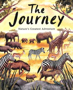 The JourneyThe Journey