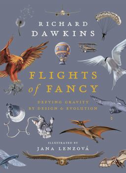 Flights of Fancy